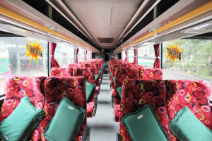 Interior Bus Lorena